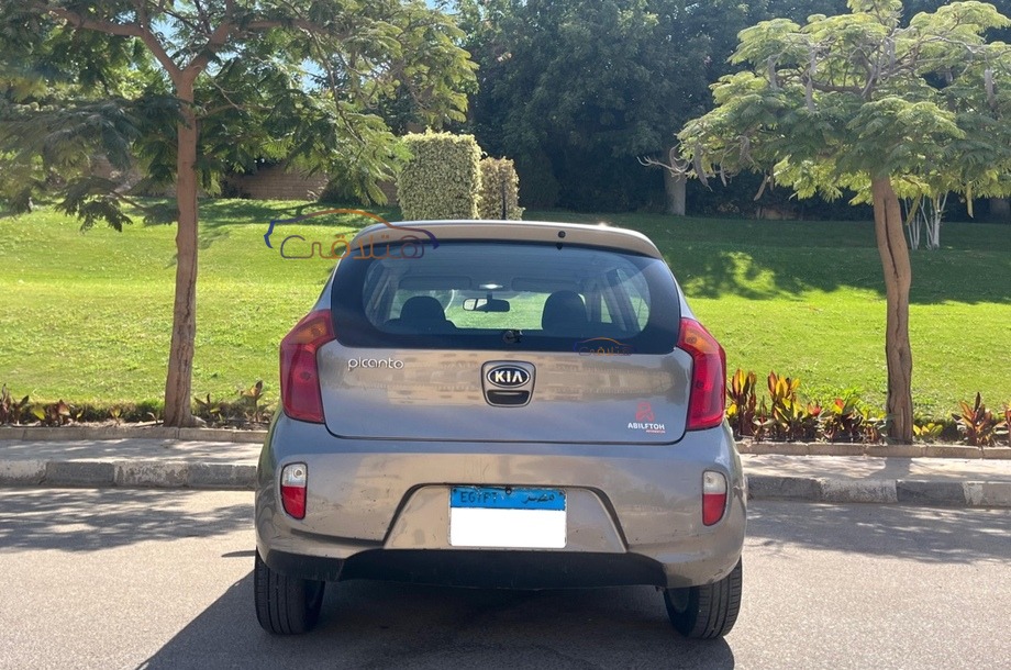 Picanto Kia رمادي