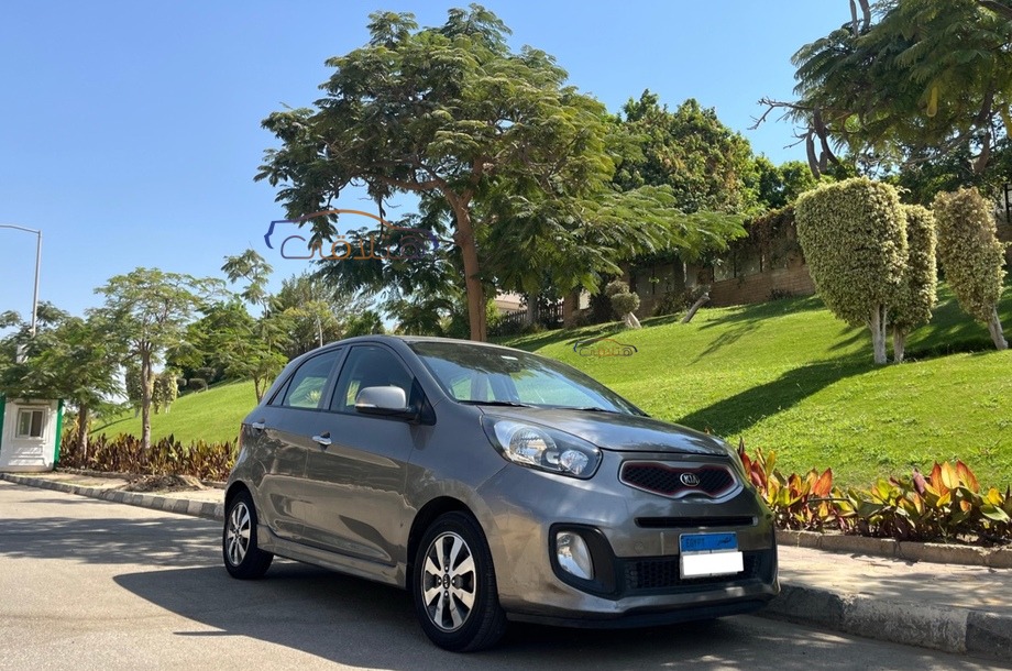Picanto Kia رمادي