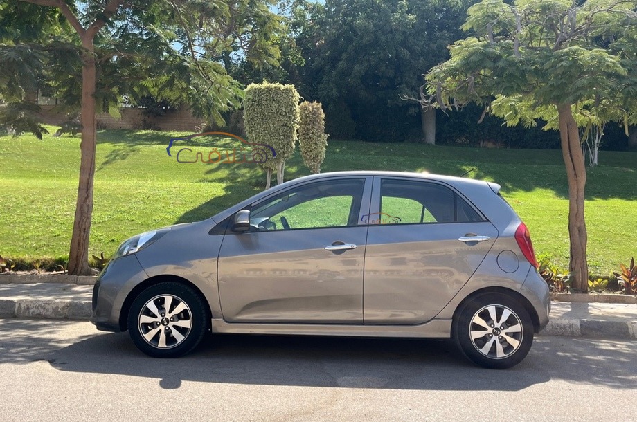 Picanto Kia رمادي
