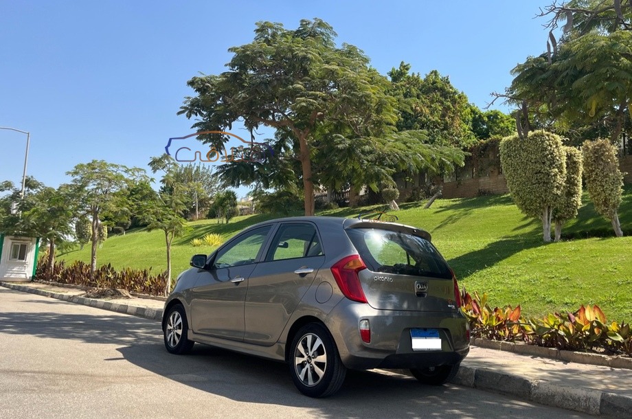 Picanto Kia رمادي