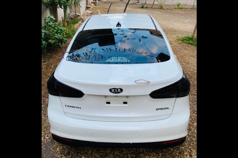 Cerato Kia أبيض