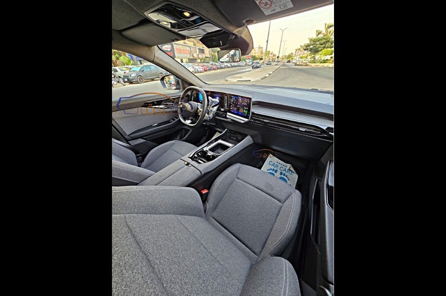 Austral Renault أزرق