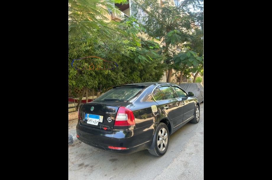 Fantasia Skoda Black