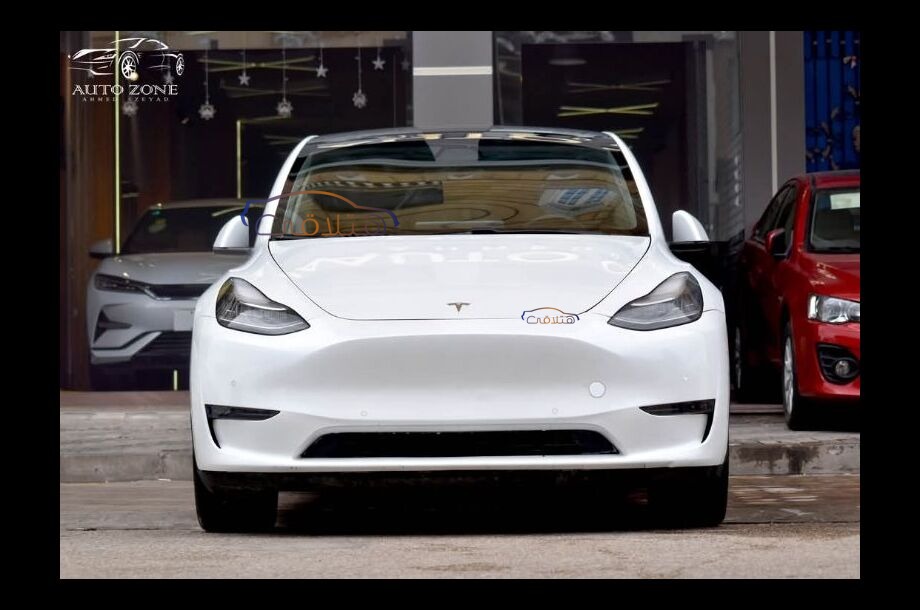 Model Y Tesla أبيض