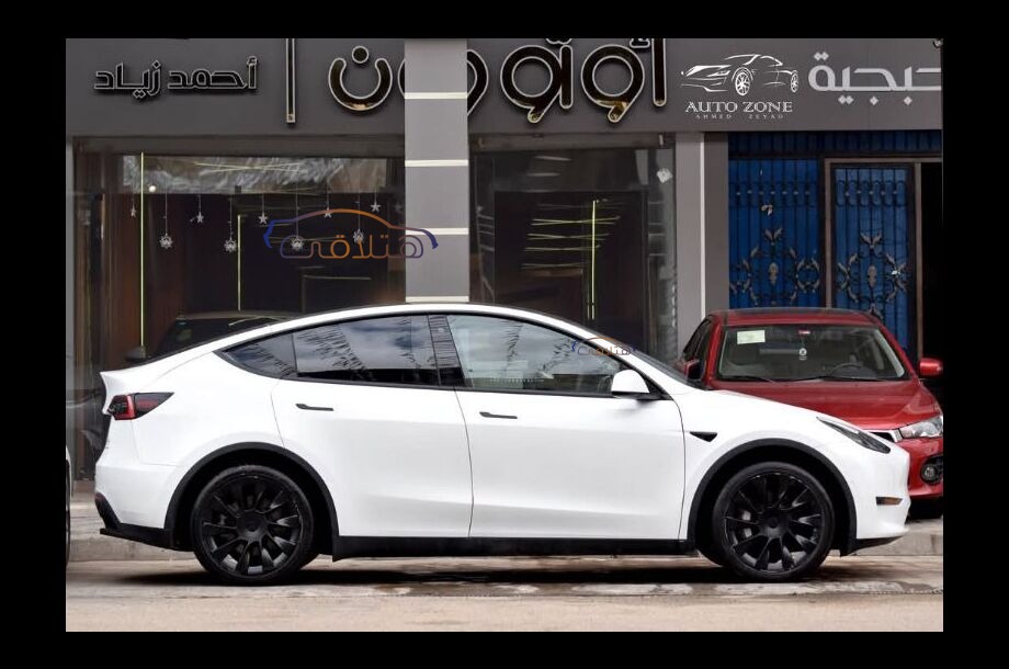 Model Y Tesla أبيض