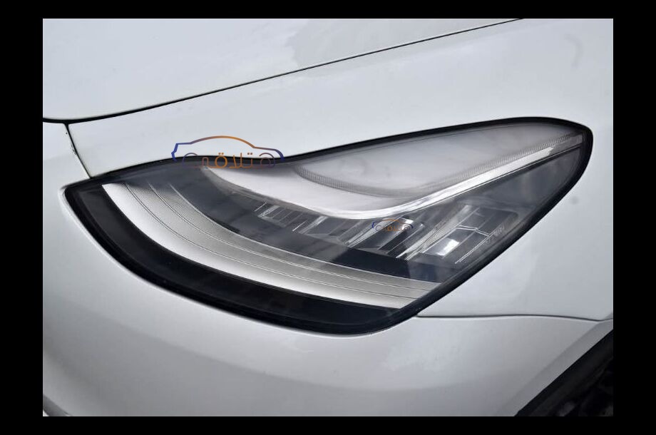 Model Y Tesla أبيض