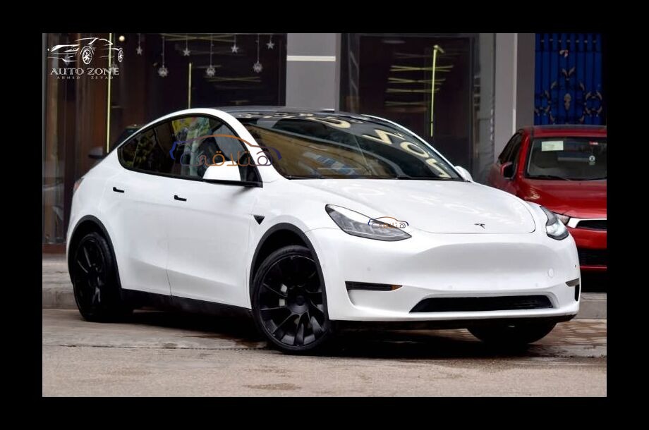 Model Y Tesla أبيض