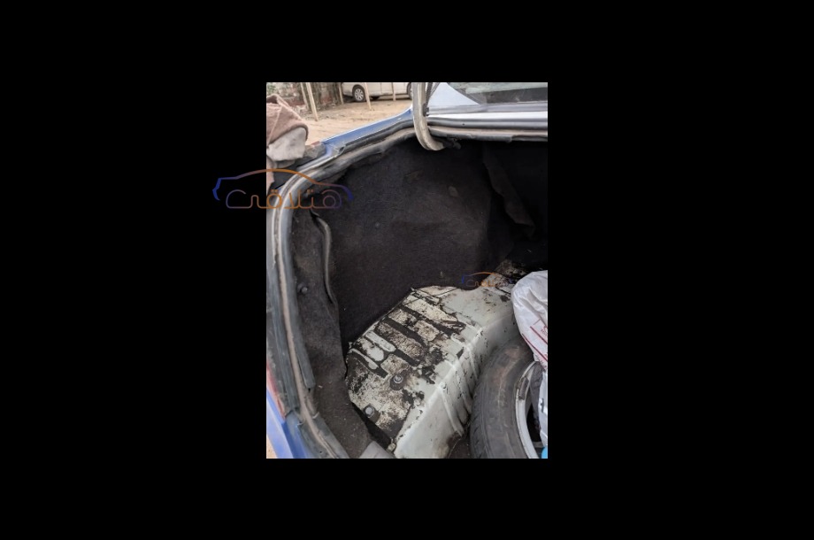 A516 Speranza أبيض