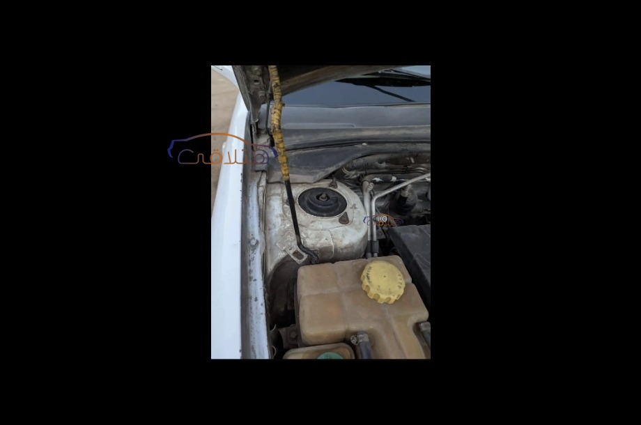 A516 Speranza أبيض