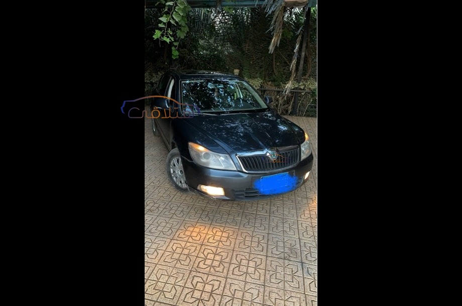 Fantasia Skoda Dark grey