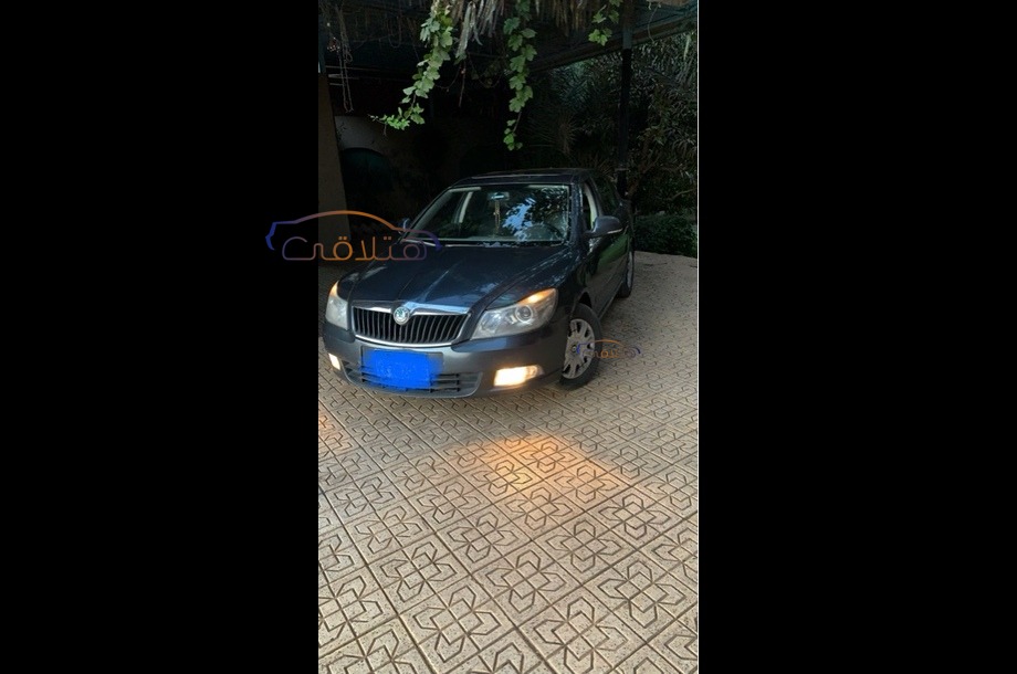 Fantasia Skoda Dark grey