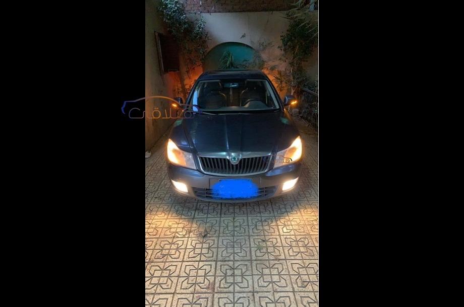 Fantasia Skoda Dark grey