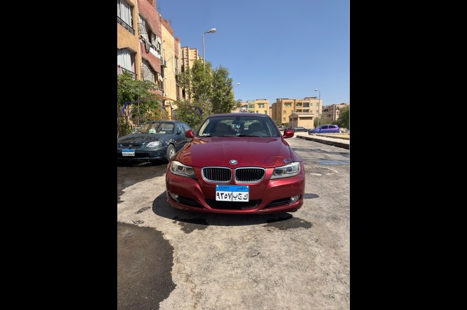 316 BMW Dark red