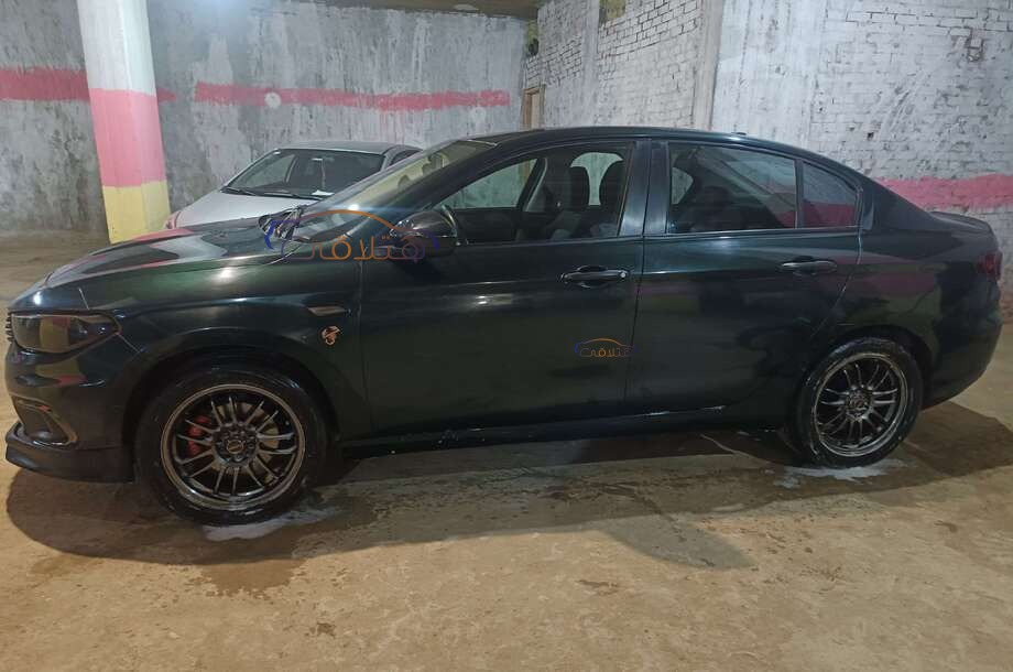 Tipo Fiat أخضر