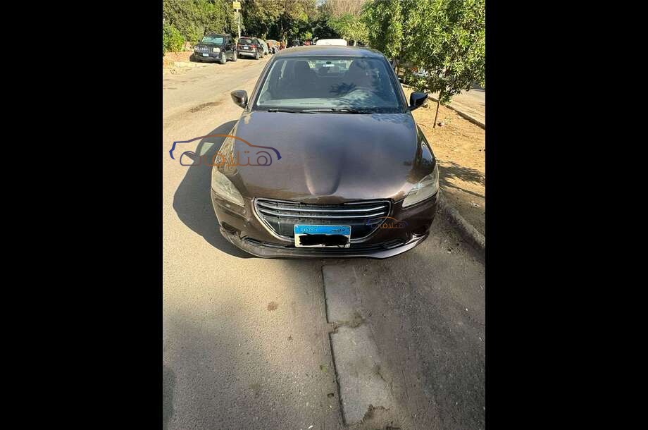 301 Peugeot بني