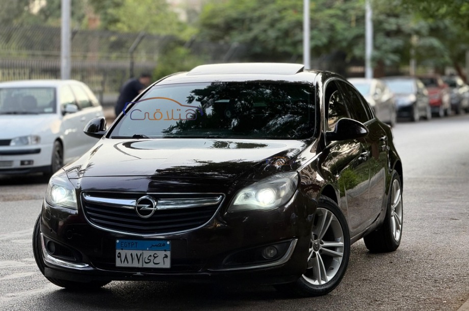 Insignia Opel Brown