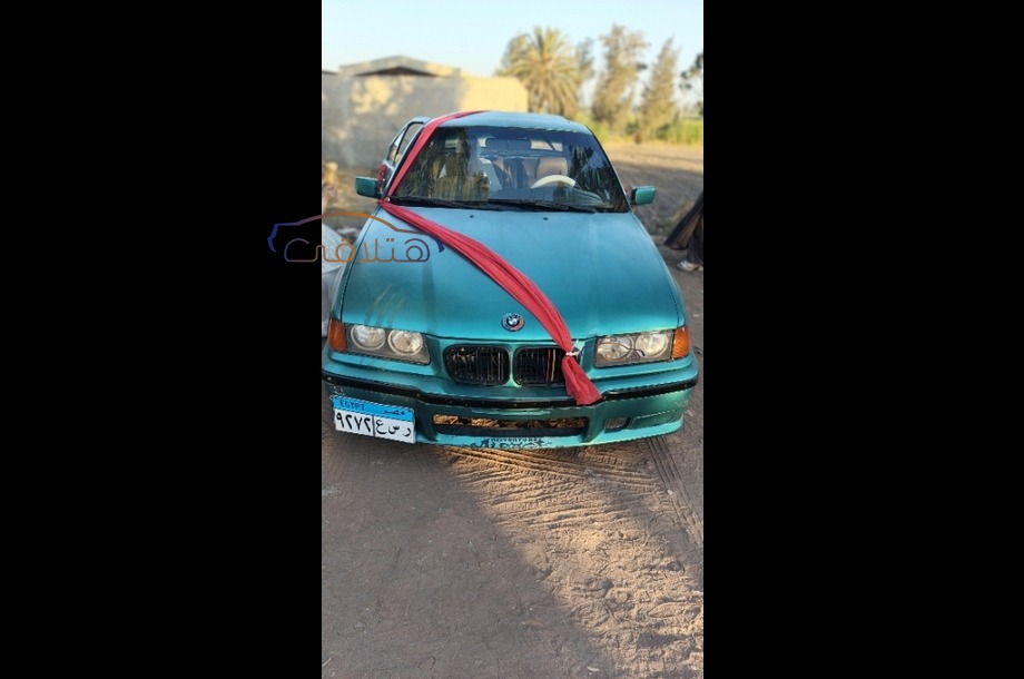 316 BMW Green