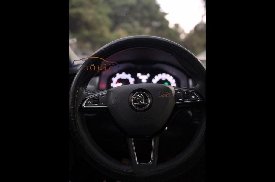 Kodiaq Skoda فضي