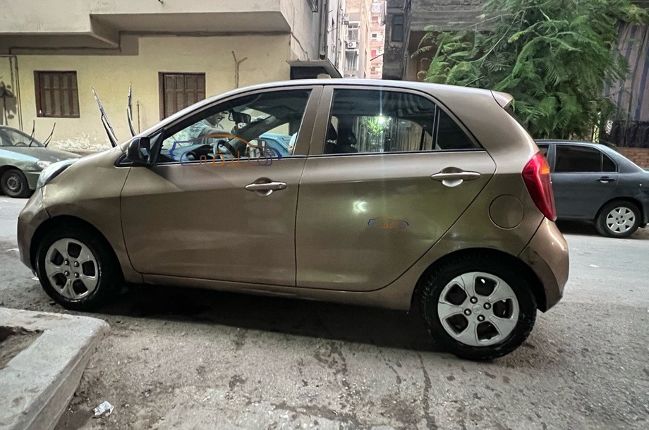 Picanto Kia Bronze