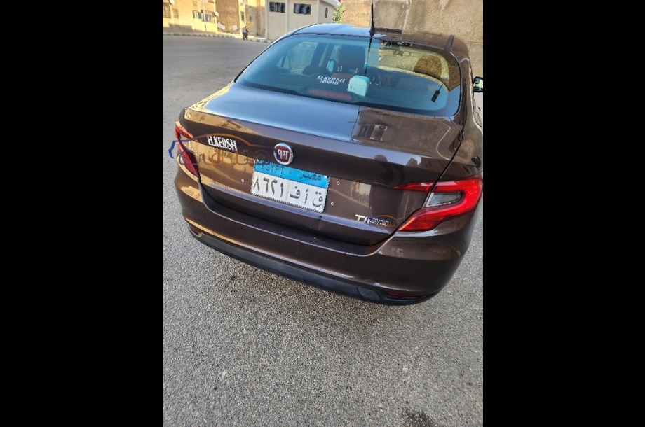 Tipo Fiat بني