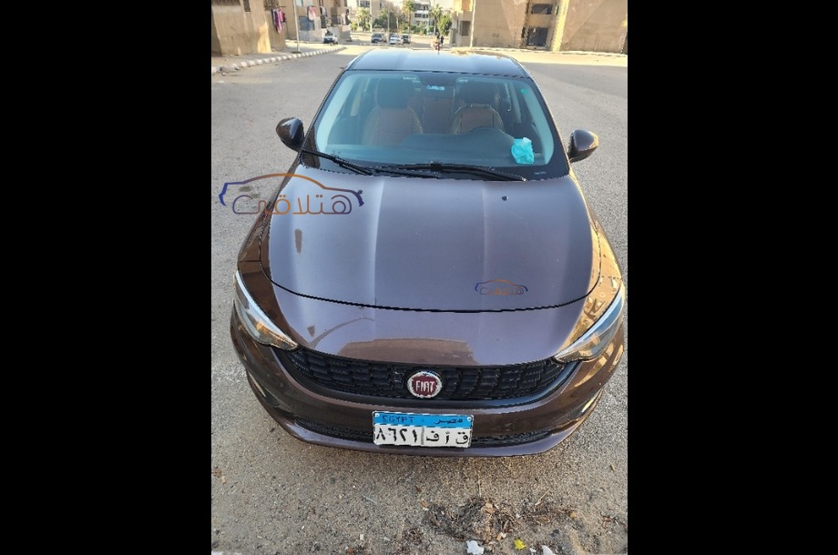 Tipo Fiat بني
