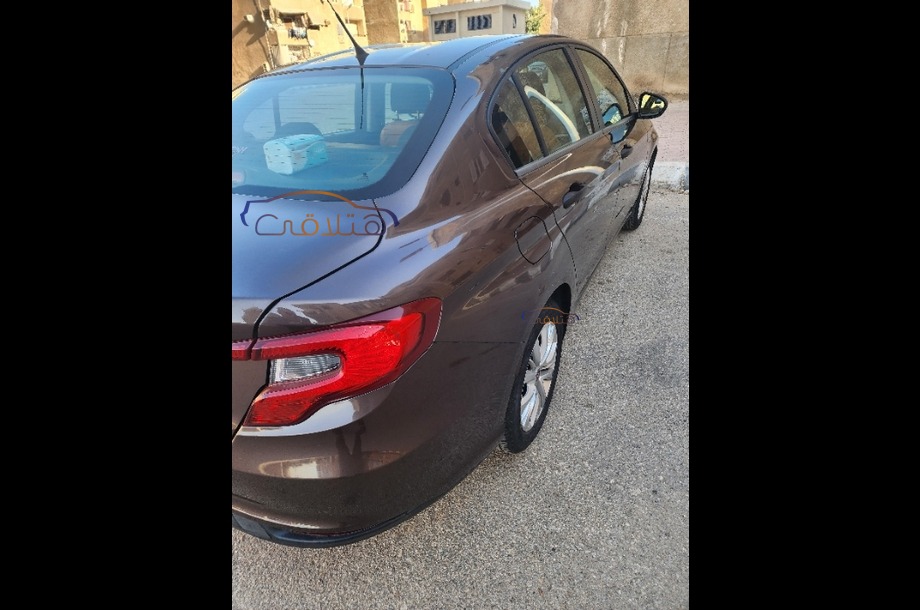 Tipo Fiat بني