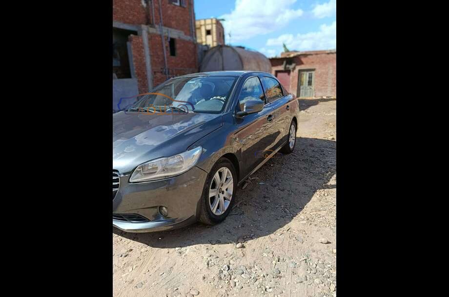 301 Peugeot Dark grey