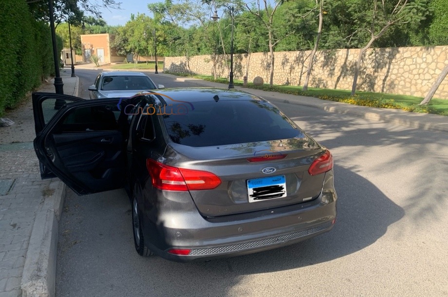 Focus Ford رمادي