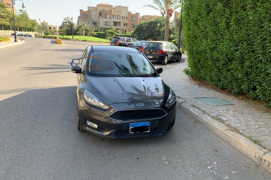 Focus Ford رمادي