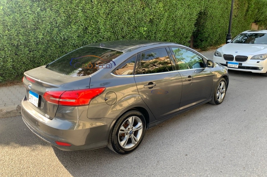Focus Ford رمادي