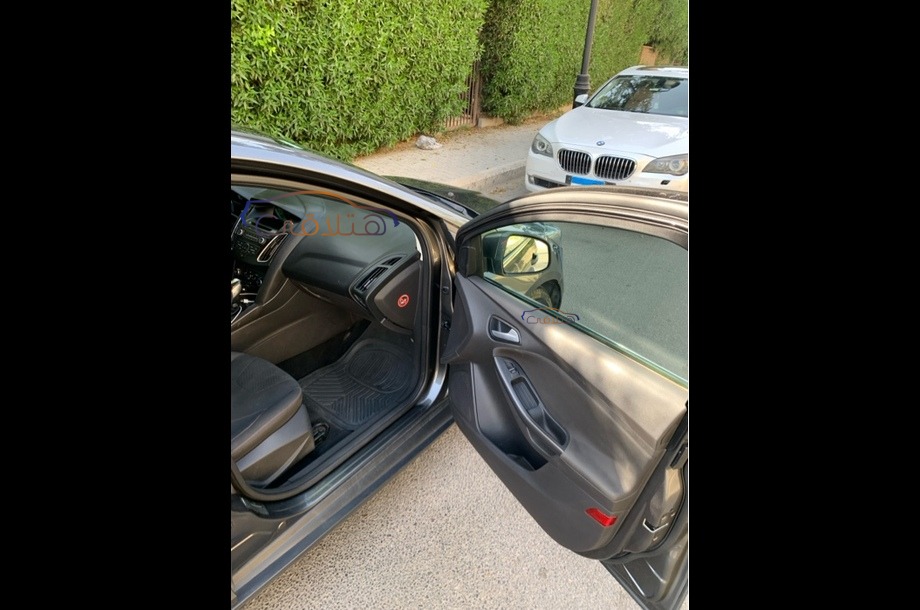 Focus Ford رمادي
