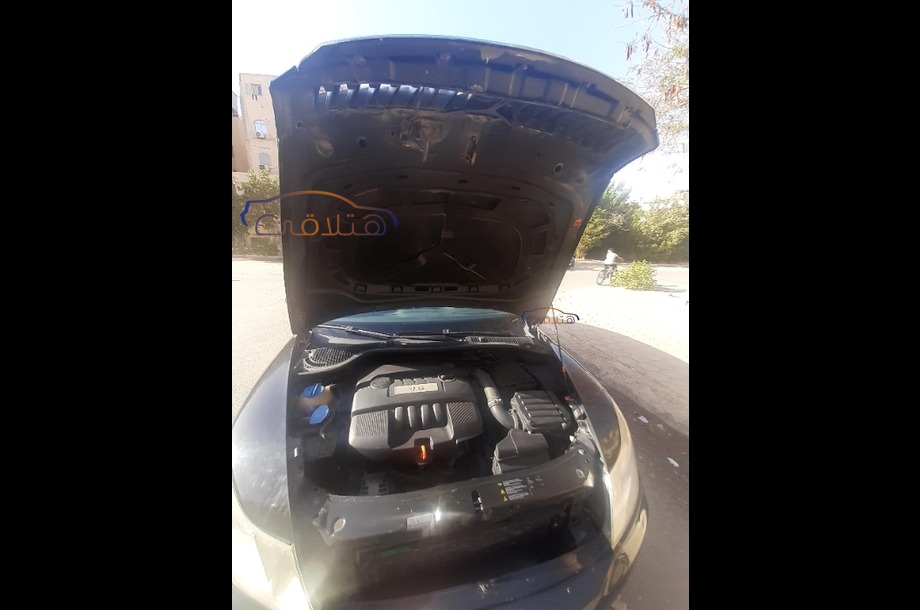 Fantasia Skoda Black