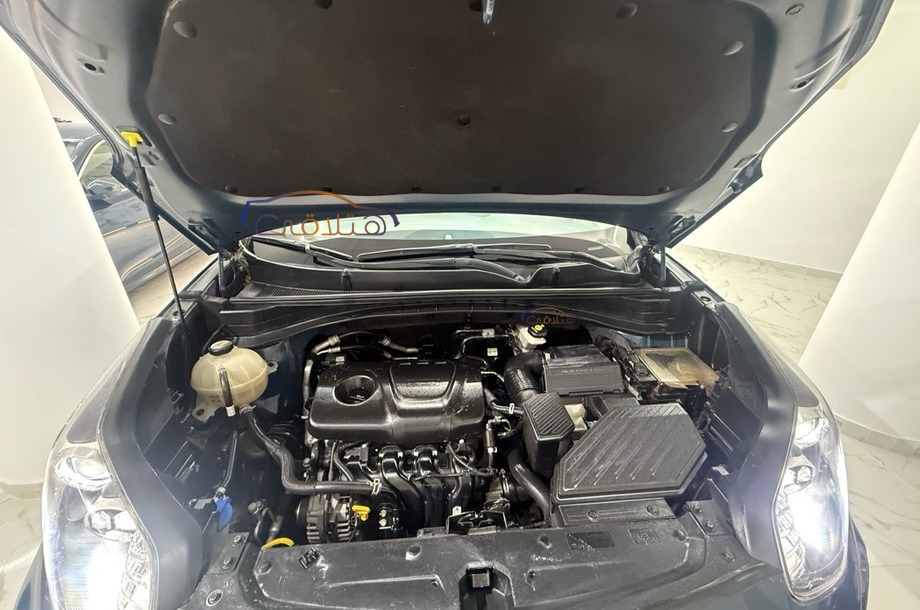 Sportage Kia Petroleum