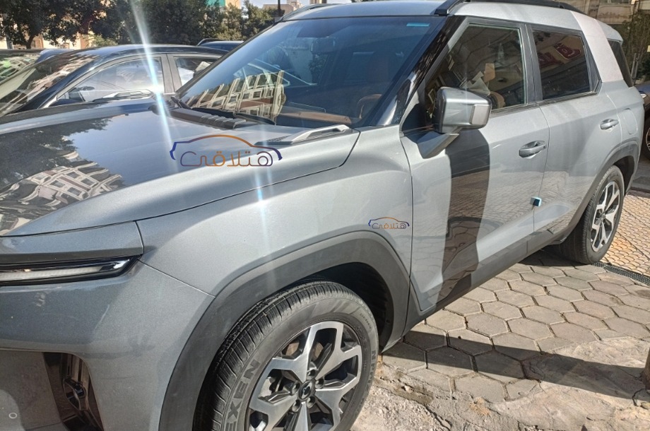 Torres Ssang Yong رمادي