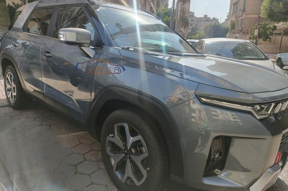 Torres Ssang Yong رمادي