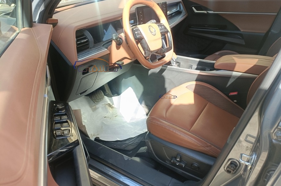 Torres Ssang Yong رمادي