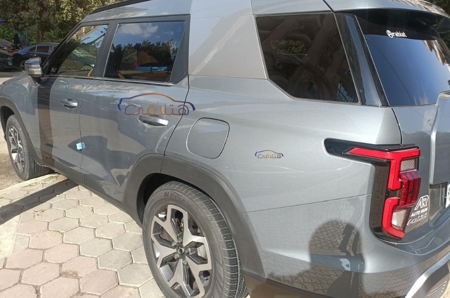 Torres Ssang Yong رمادي