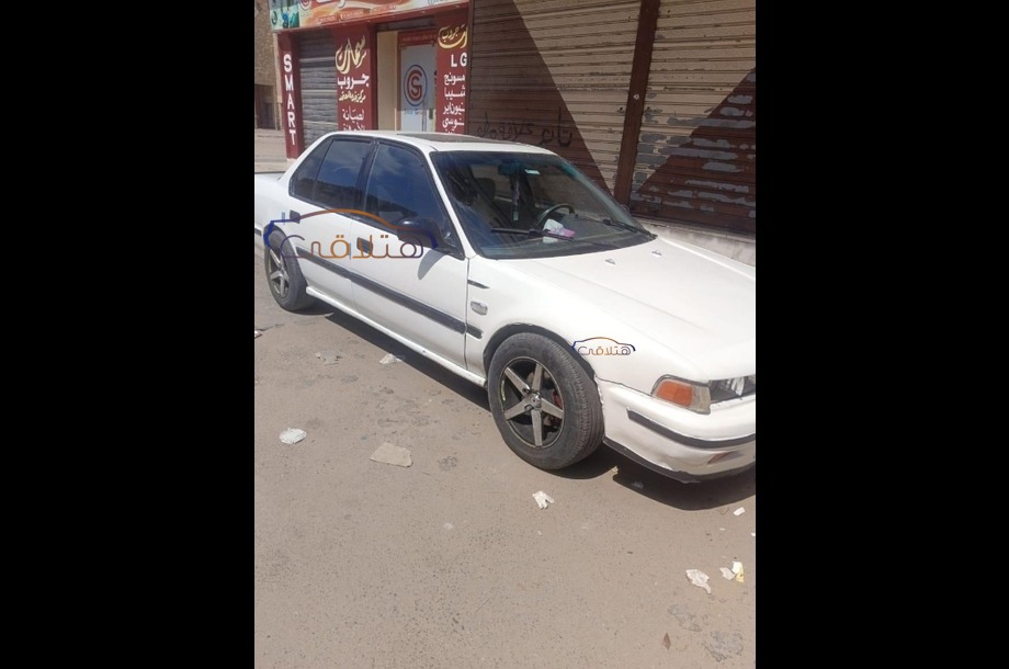 Accord Honda أبيض