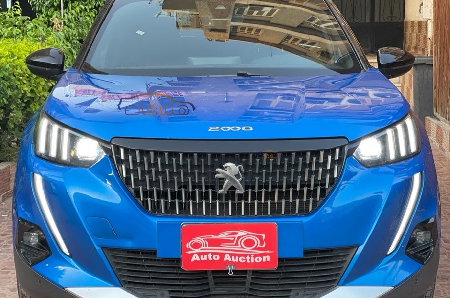 2008 Peugeot Blue