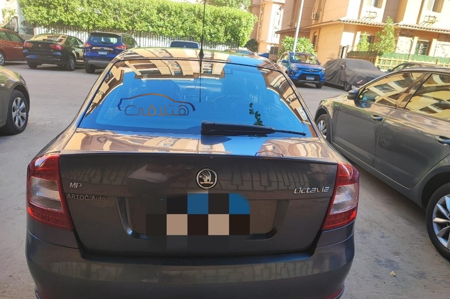 Fantasia Skoda Silver