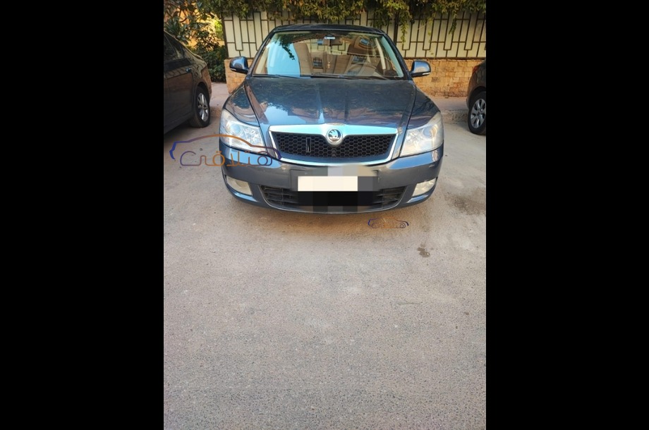 Fantasia Skoda Silver