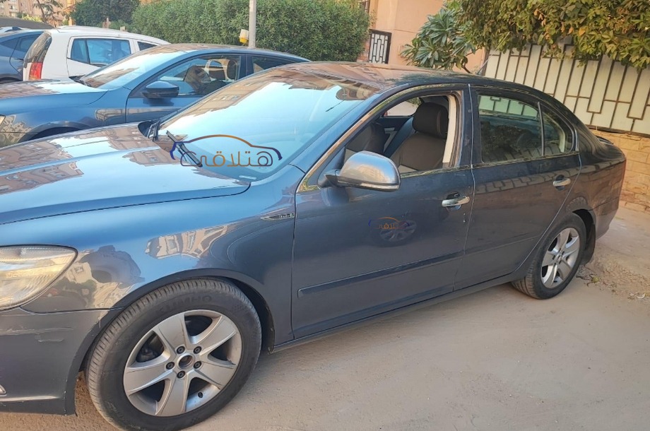 Fantasia Skoda Silver