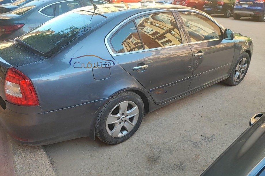 Fantasia Skoda Silver