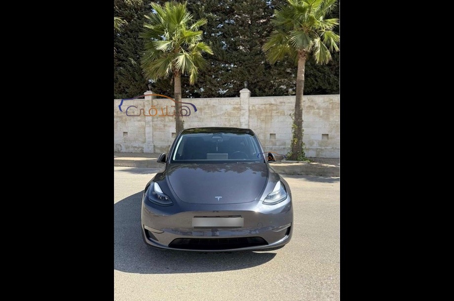 Model Y Tesla بترولي