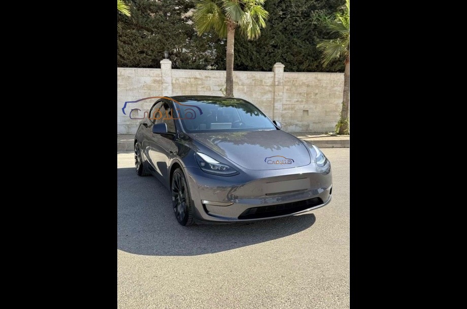 Model Y Tesla بترولي
