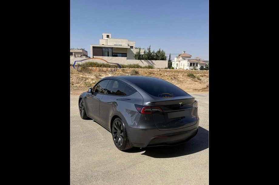 Model Y Tesla بترولي