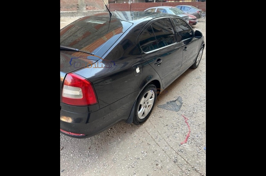 Fantasia Skoda أسود