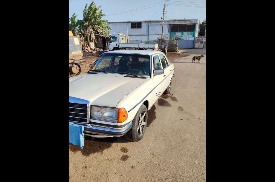 200 Mercedes أبيض