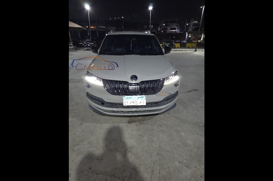 Karoq Skoda Gray