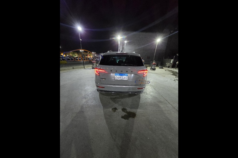 Karoq Skoda Gray